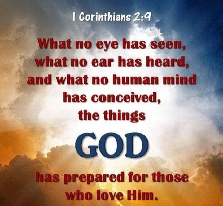 . what God has prepared.jpg
