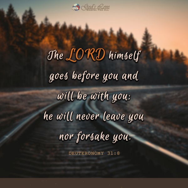 never forsake you.jpg